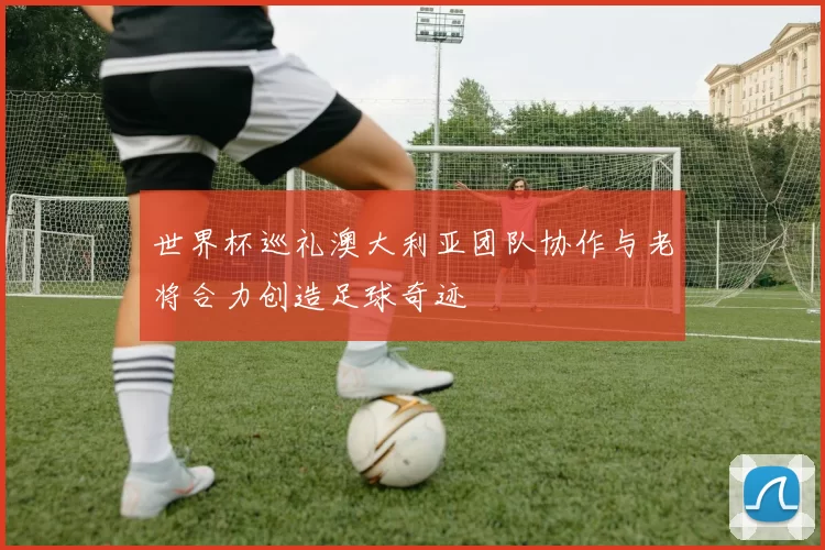 世界杯巡礼澳大利亚团队协作与老将合力创造足球奇迹
